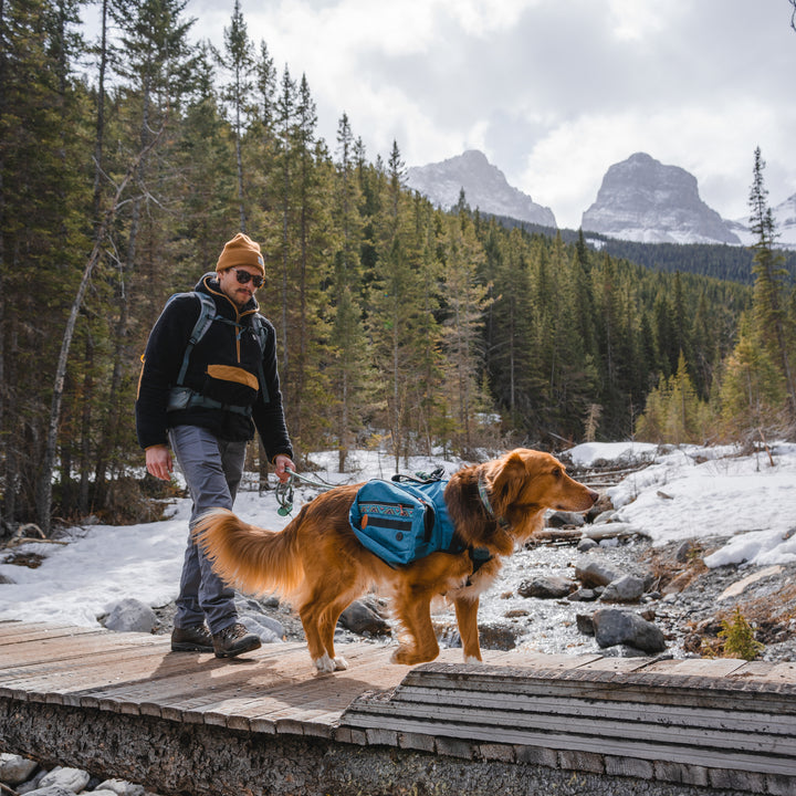backpack for dog hiking 40 pound Dog Backpack – Wilderdog