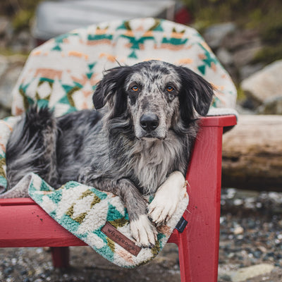 Sherpa Fleece Waterproof Blanket