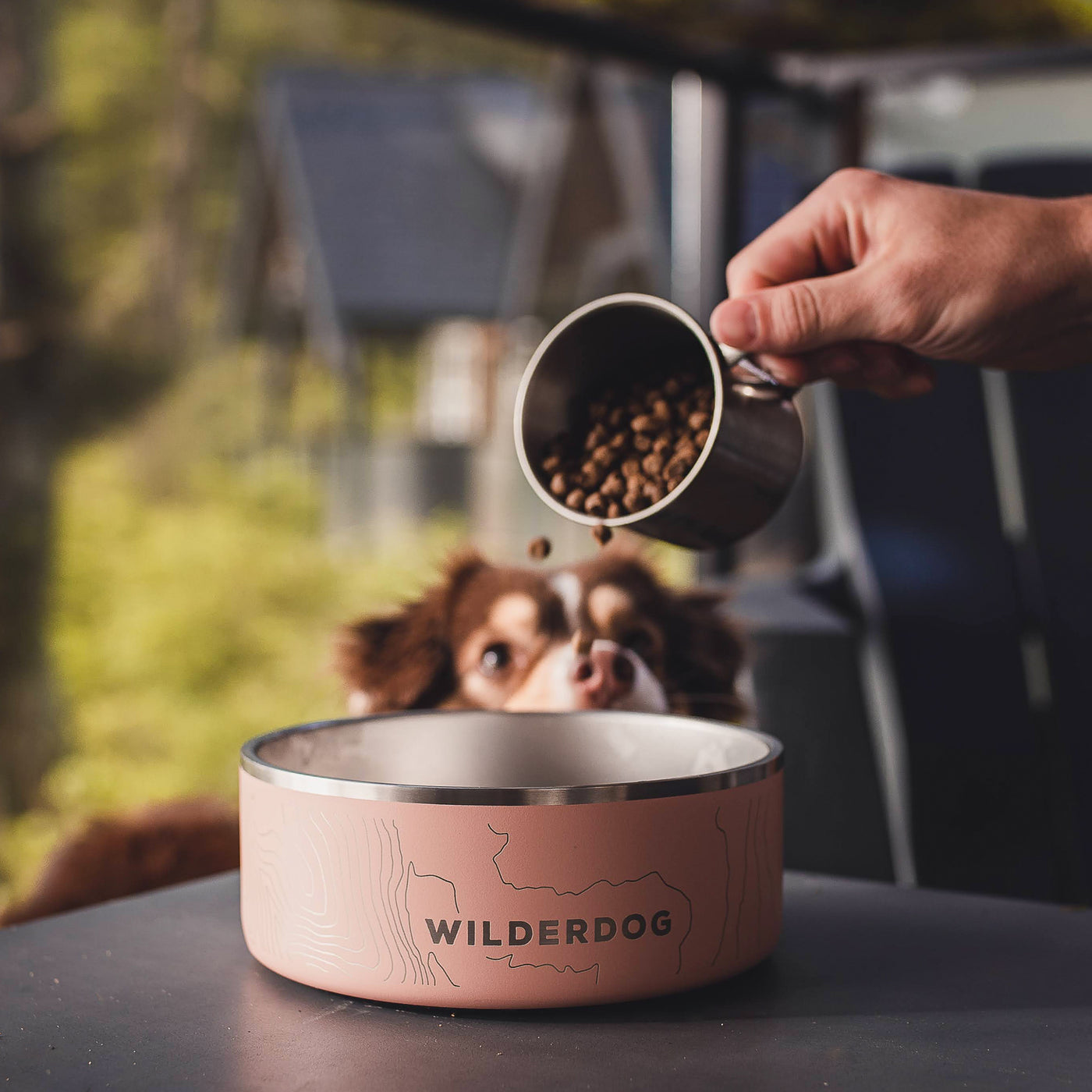 Stainless Steel Dog Bowl