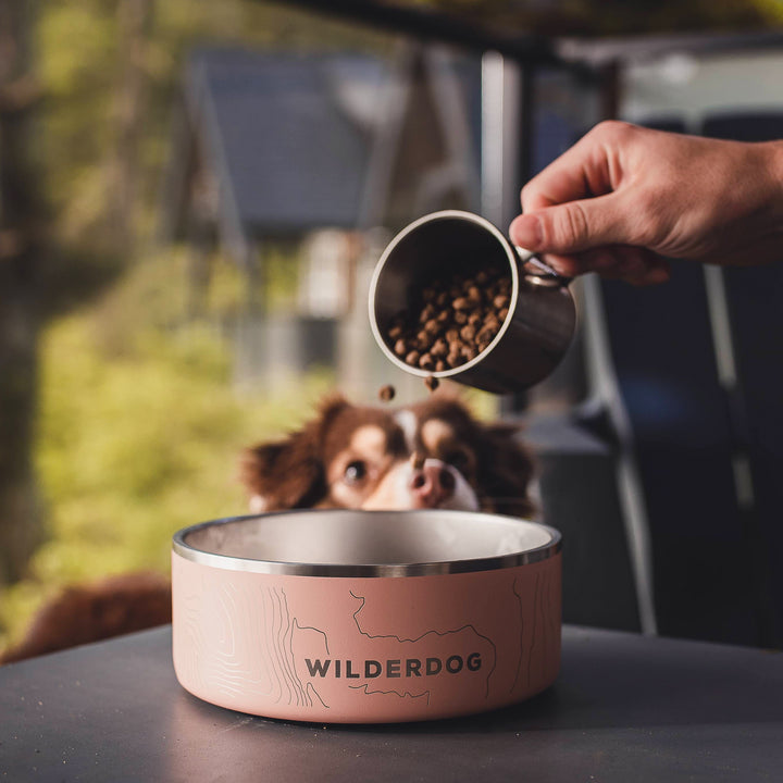 Stainless Steel Dog Bowl | 16oz