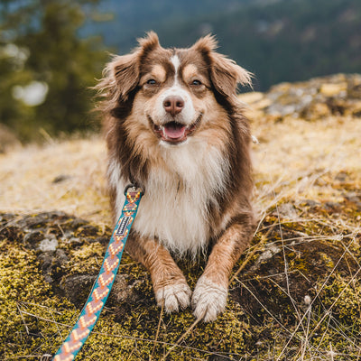 Havasu Ultralight Leash