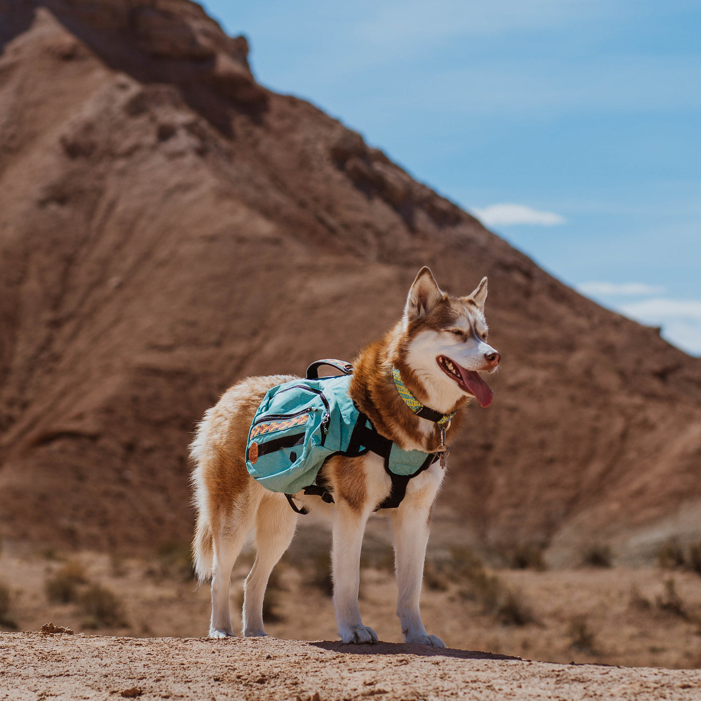 OneTigris MAMMOTH Tactical Dog Pack 6L With Loop Panels