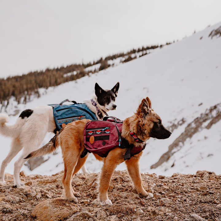 backpack for dogs to wear hiking Dog Backpack – Wilderdog