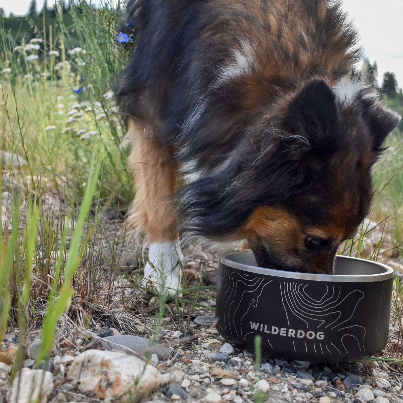 Stainless Steel Dog Bowl