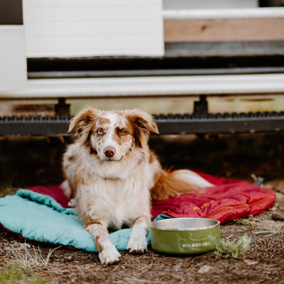 Stainless Steel Dog Bowl