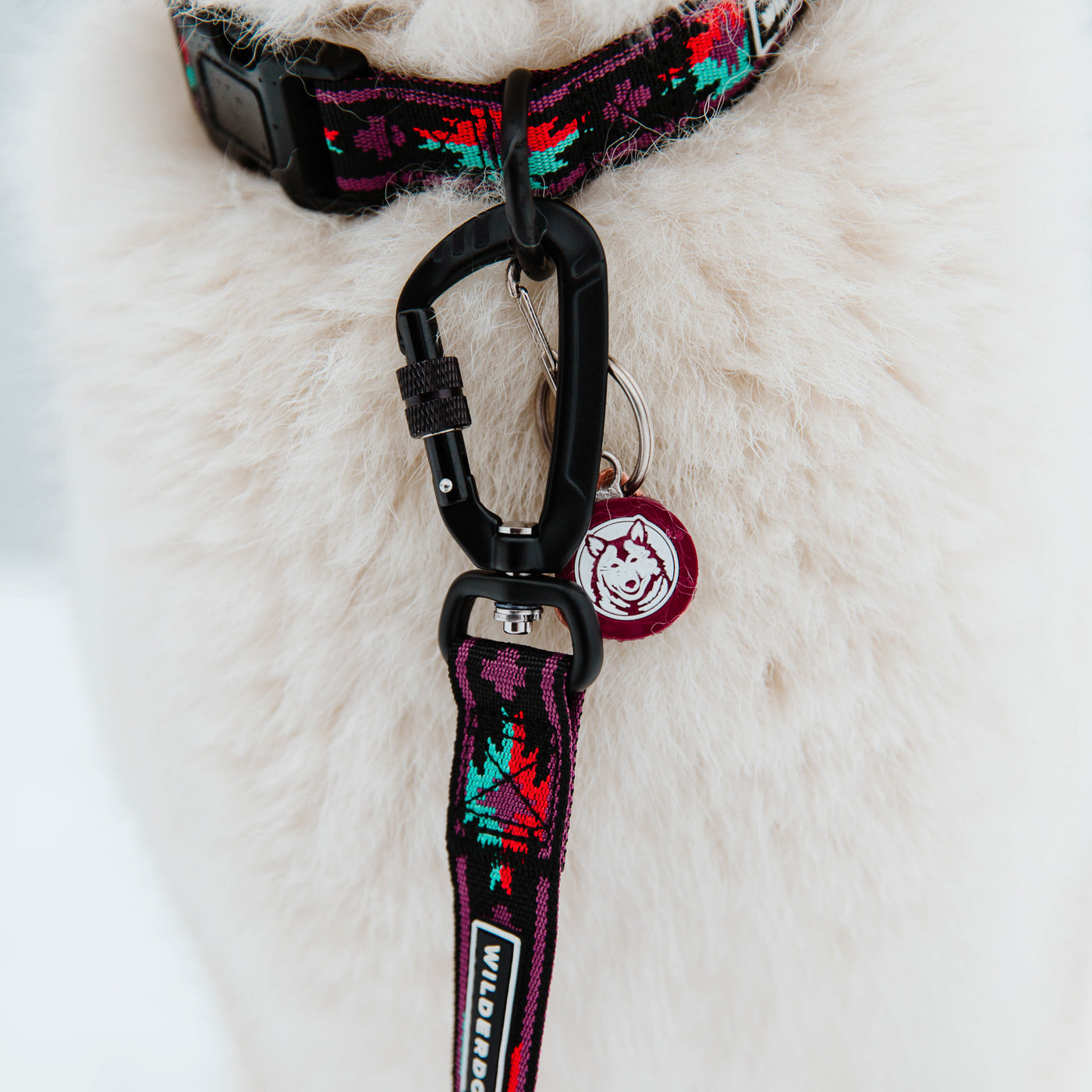 Shasta Ultralight Leash
