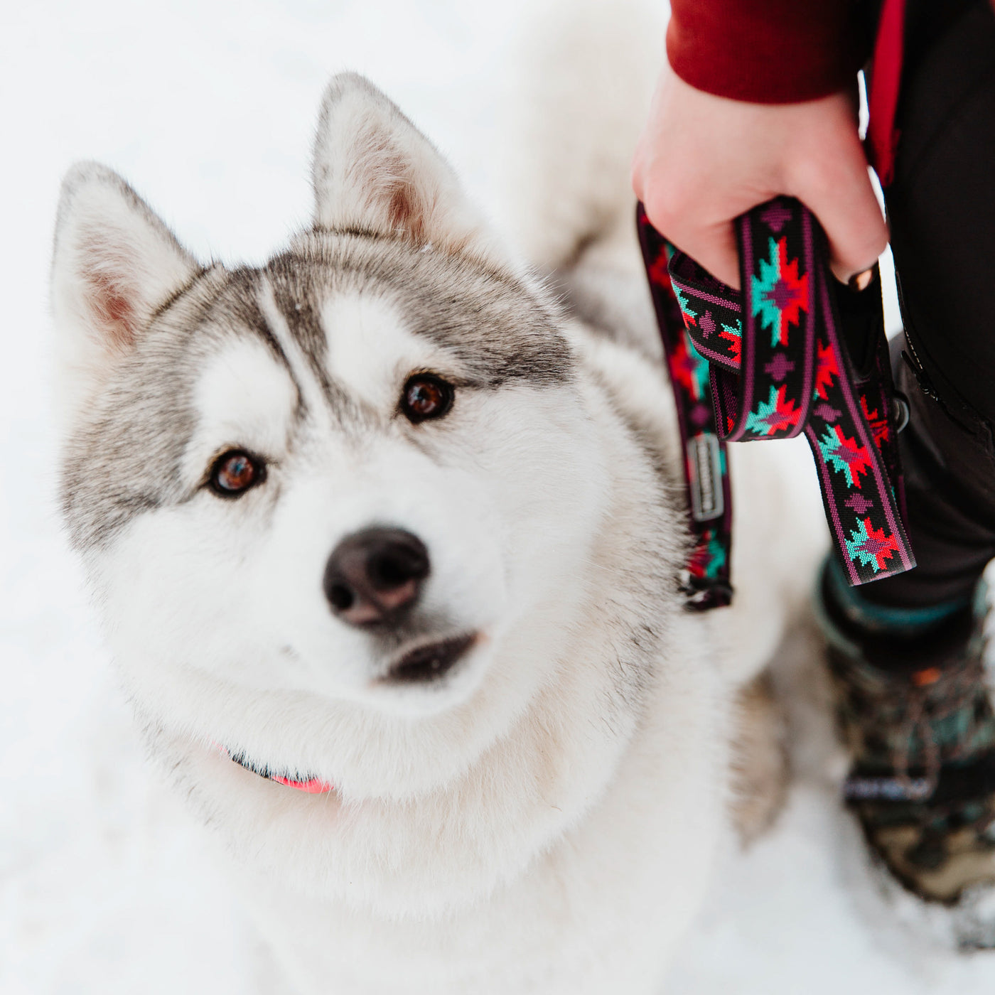 Shasta Ultralight Leash