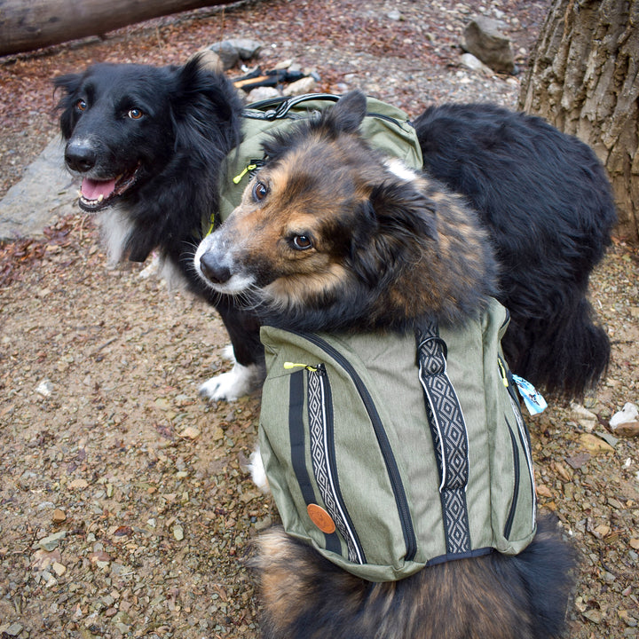 best backpack for hiking with my dog Dog Backpack – Wilderdog