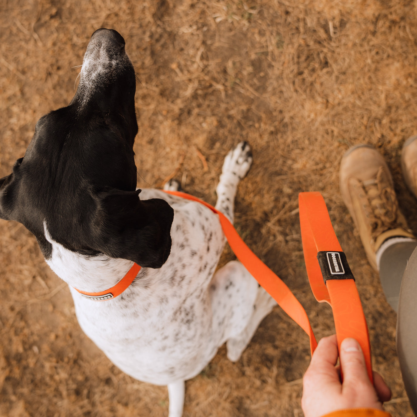 Orange Waterproof Leash