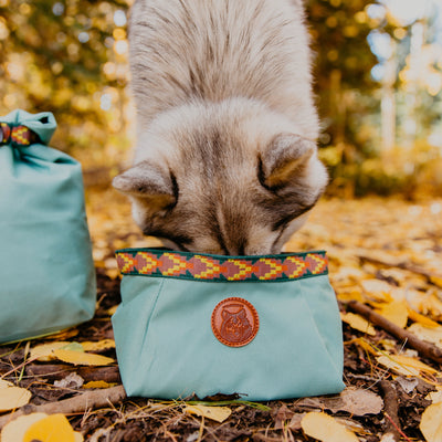 Backpacking Bowl