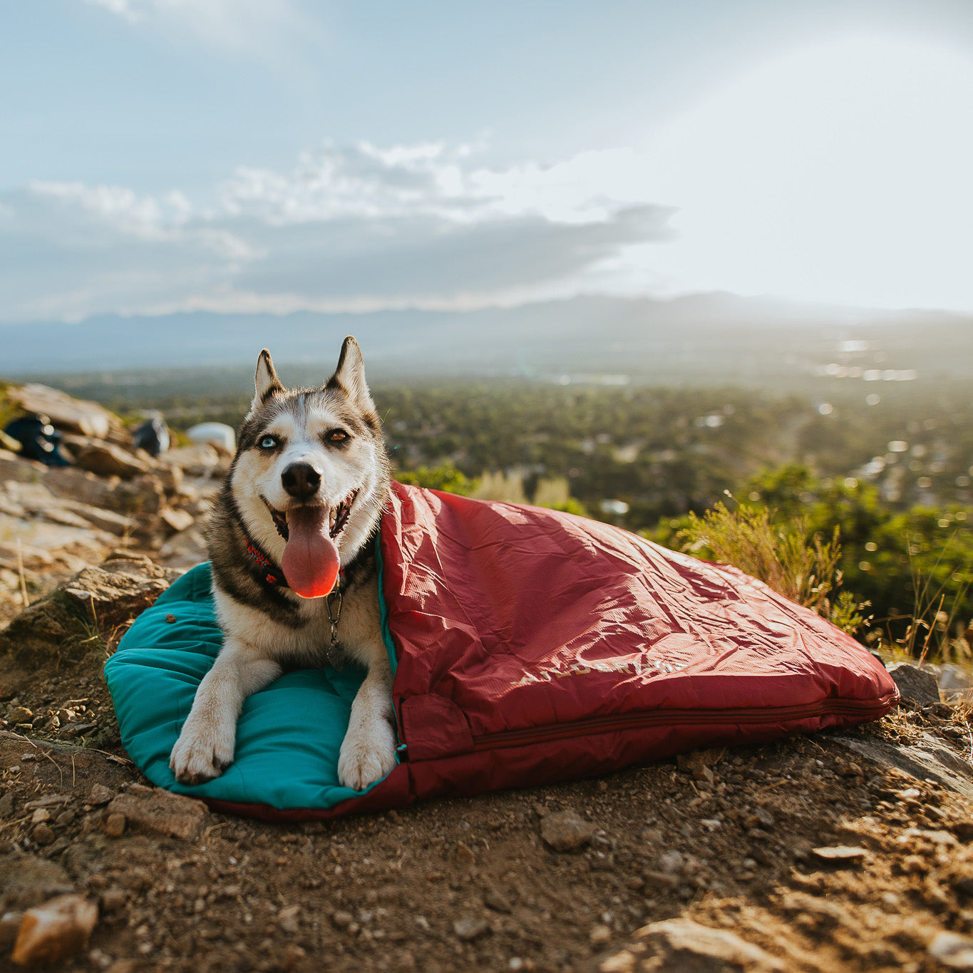 Sleeping Bag