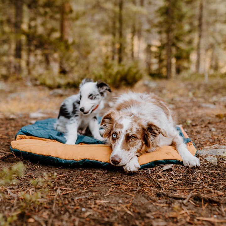 Wilderdog Dog Sleeping Bag 36in X 28in X The Best Dog