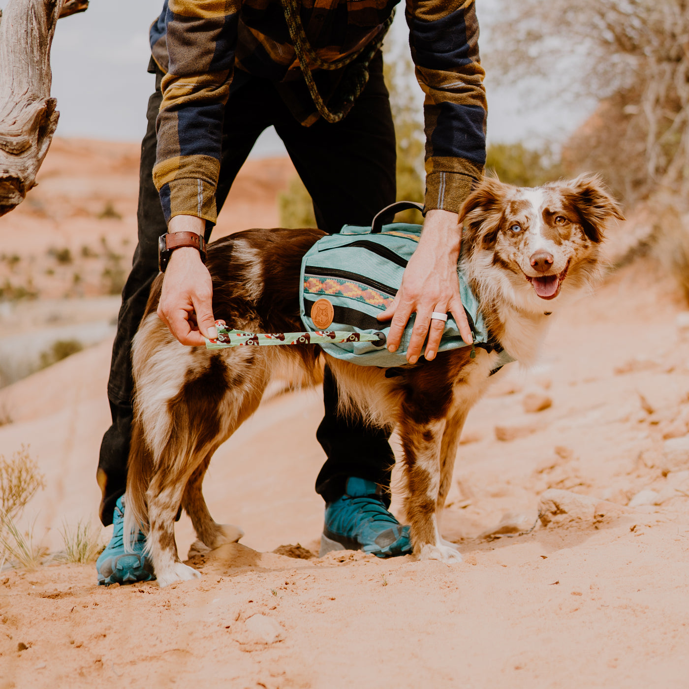 Utility Pack – Wilderdog