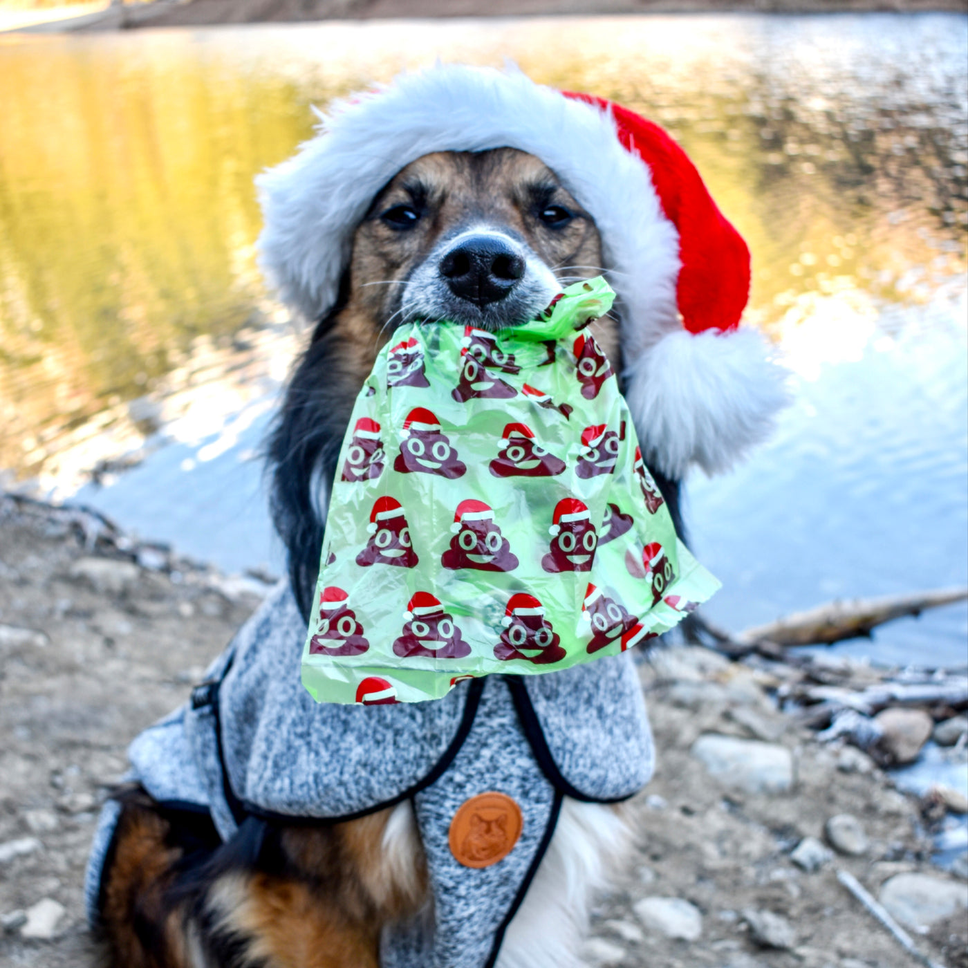 Santa Paws Poop Bags