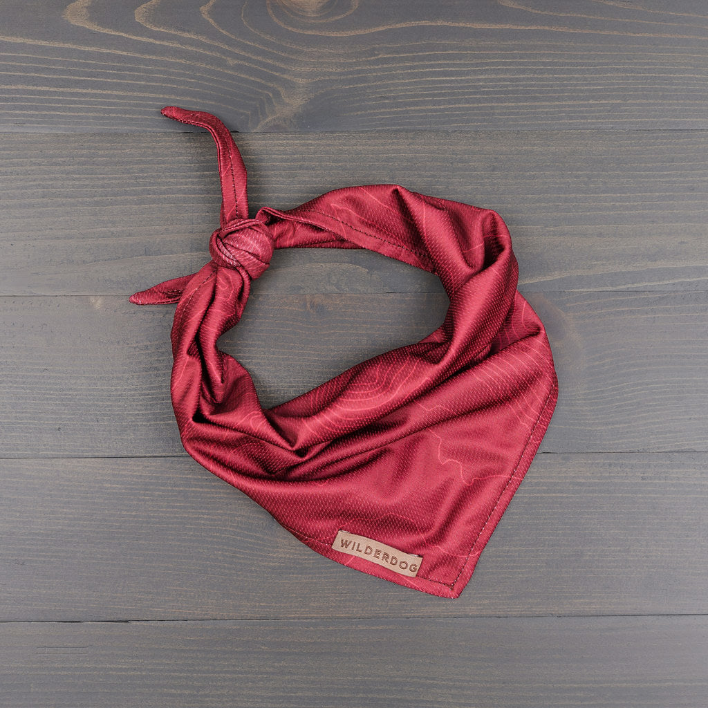 Berry Topo Bandana