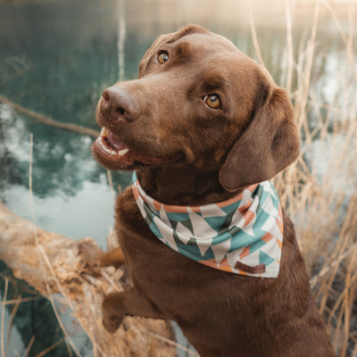 Cream Bandana