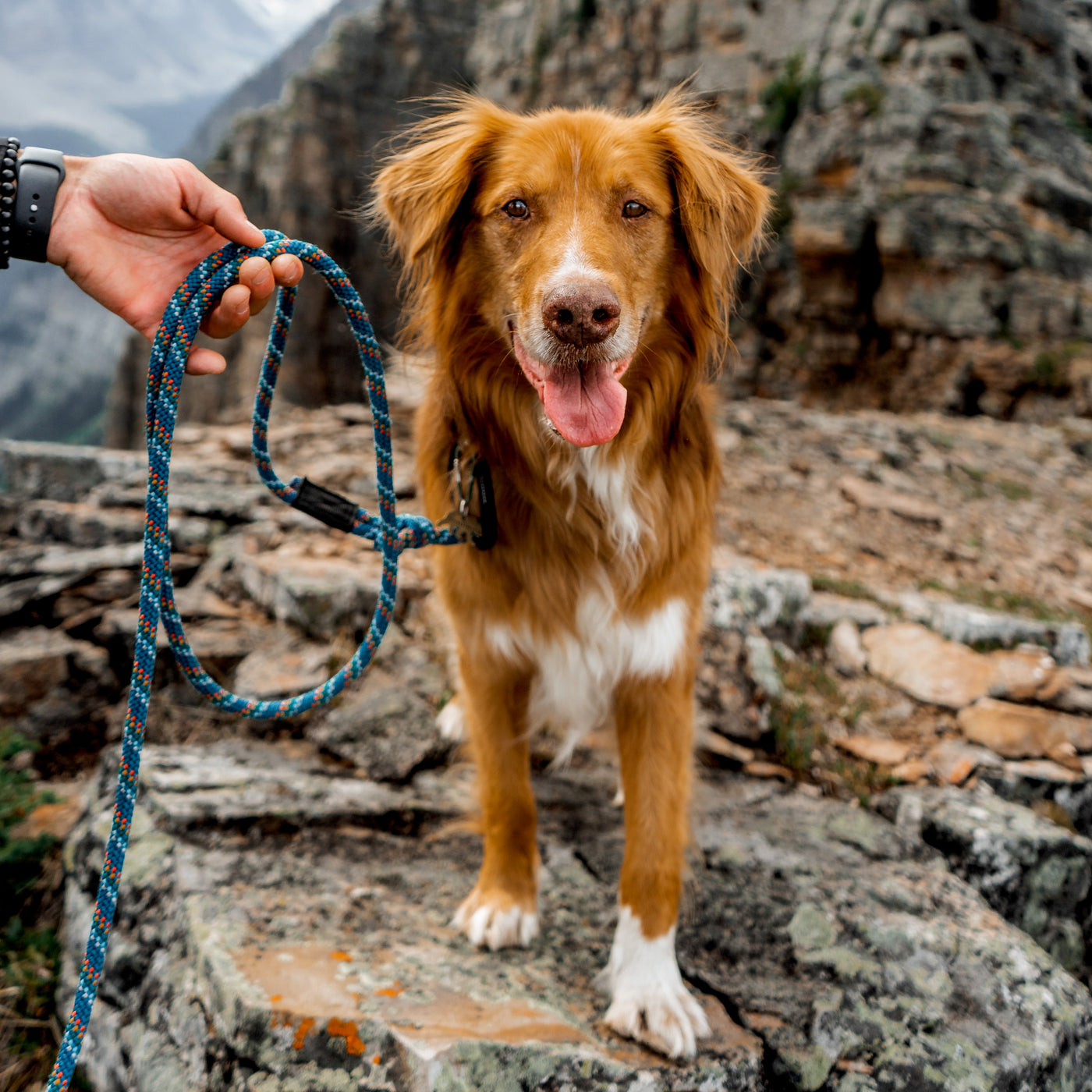 Pacific Blue Reflective Leash