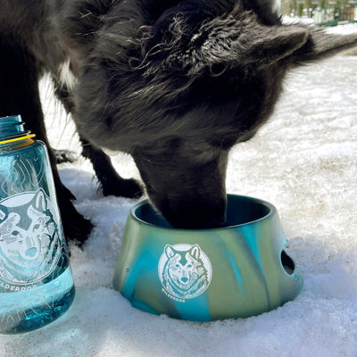 Foldable Silipint Dog Bowl