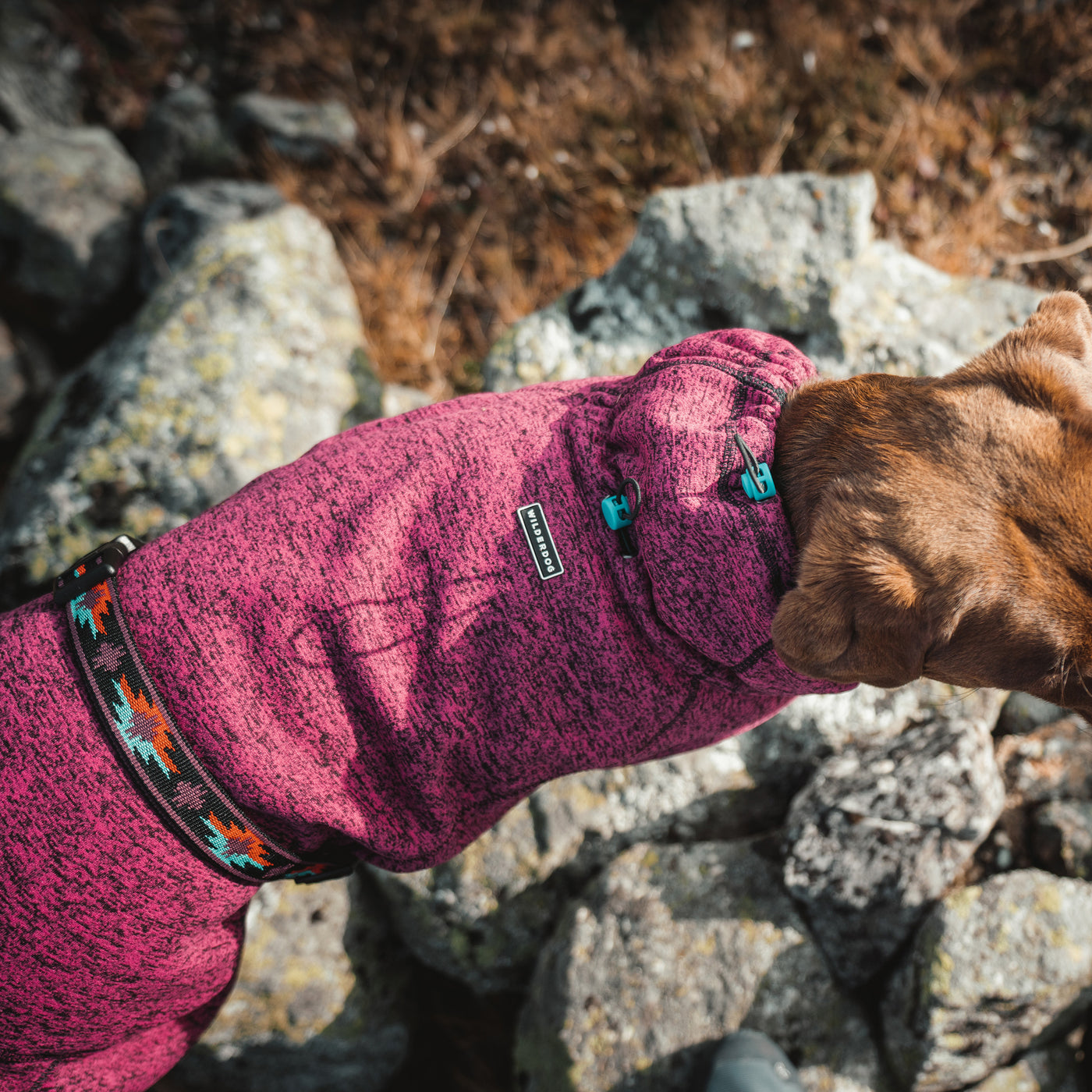 Fleece – Wilderdog