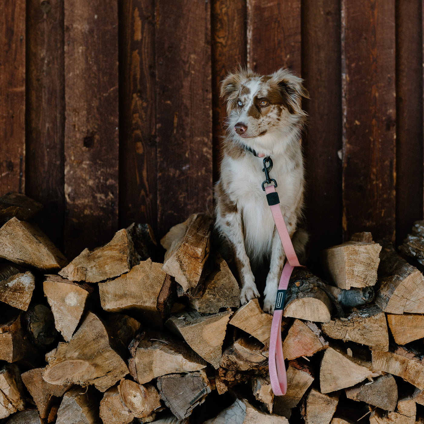 Guava Waterproof Leash