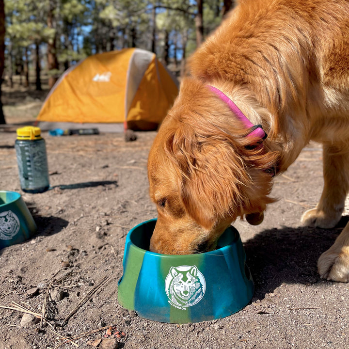 Foldable Silipint Dog Bowl – Wilderdog