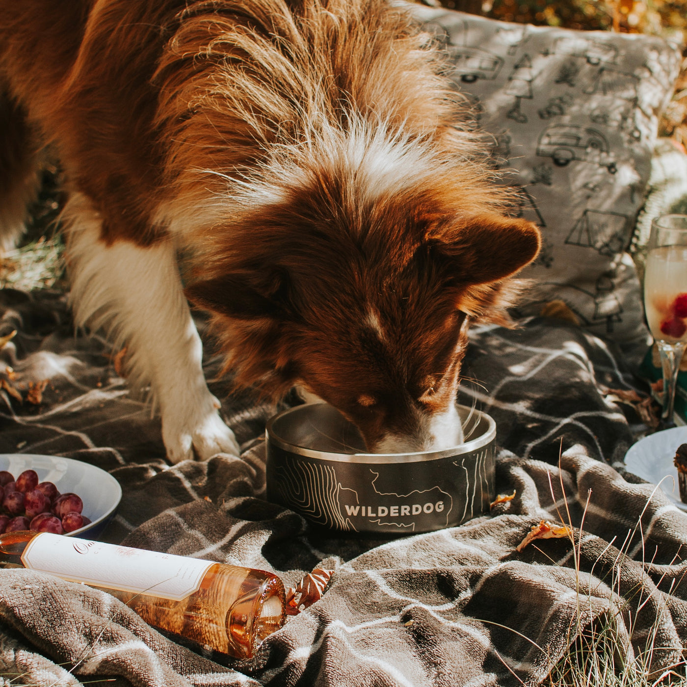 Stainless Steel Dog Bowls