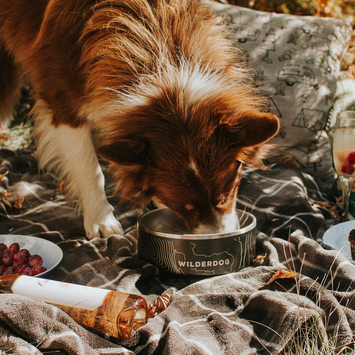 Stainless Steel Dog Bowls, 64oz 2-Pack – Non-Slip Large Dog Bowls, Dishwasher Safe