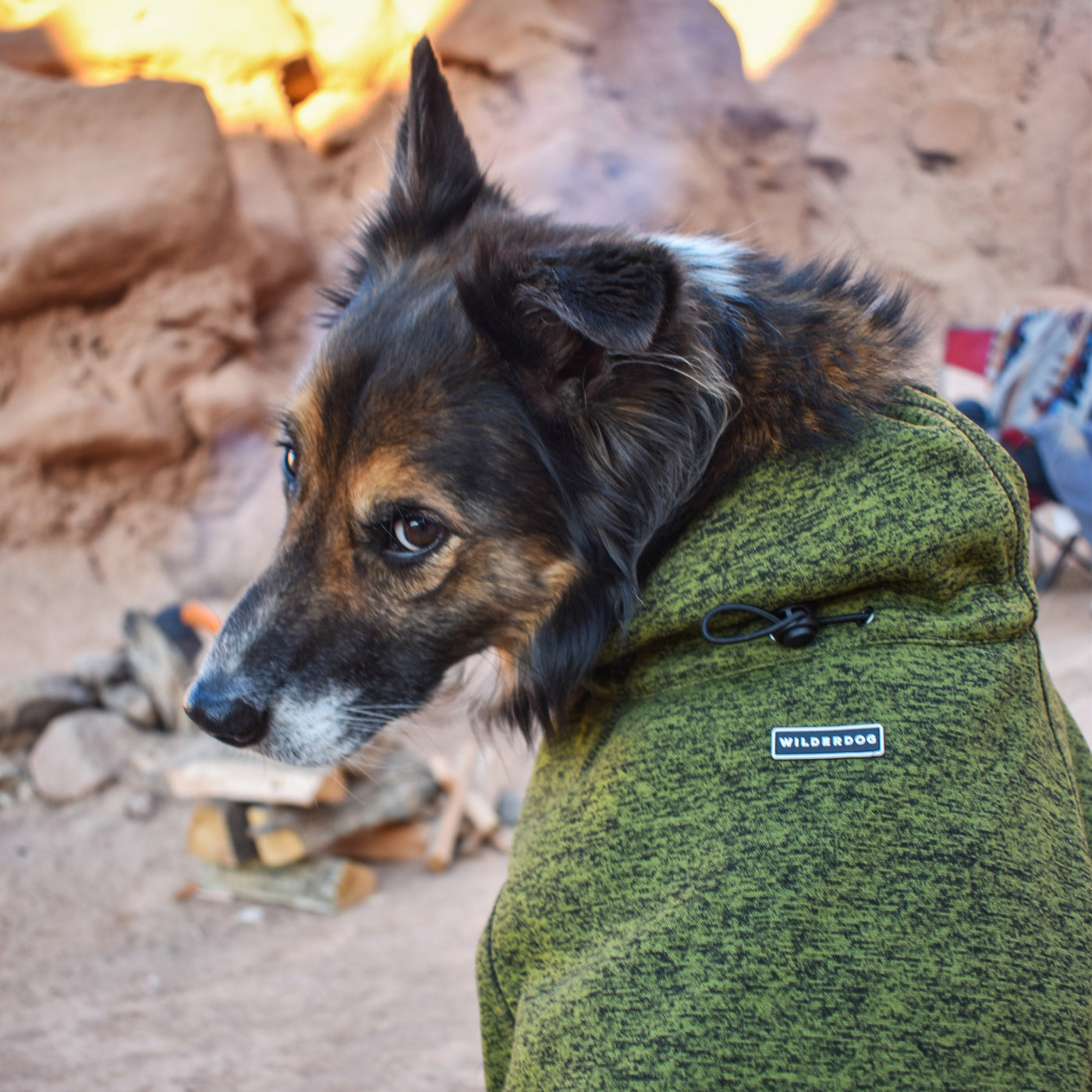 Fleece Dog Jacket 