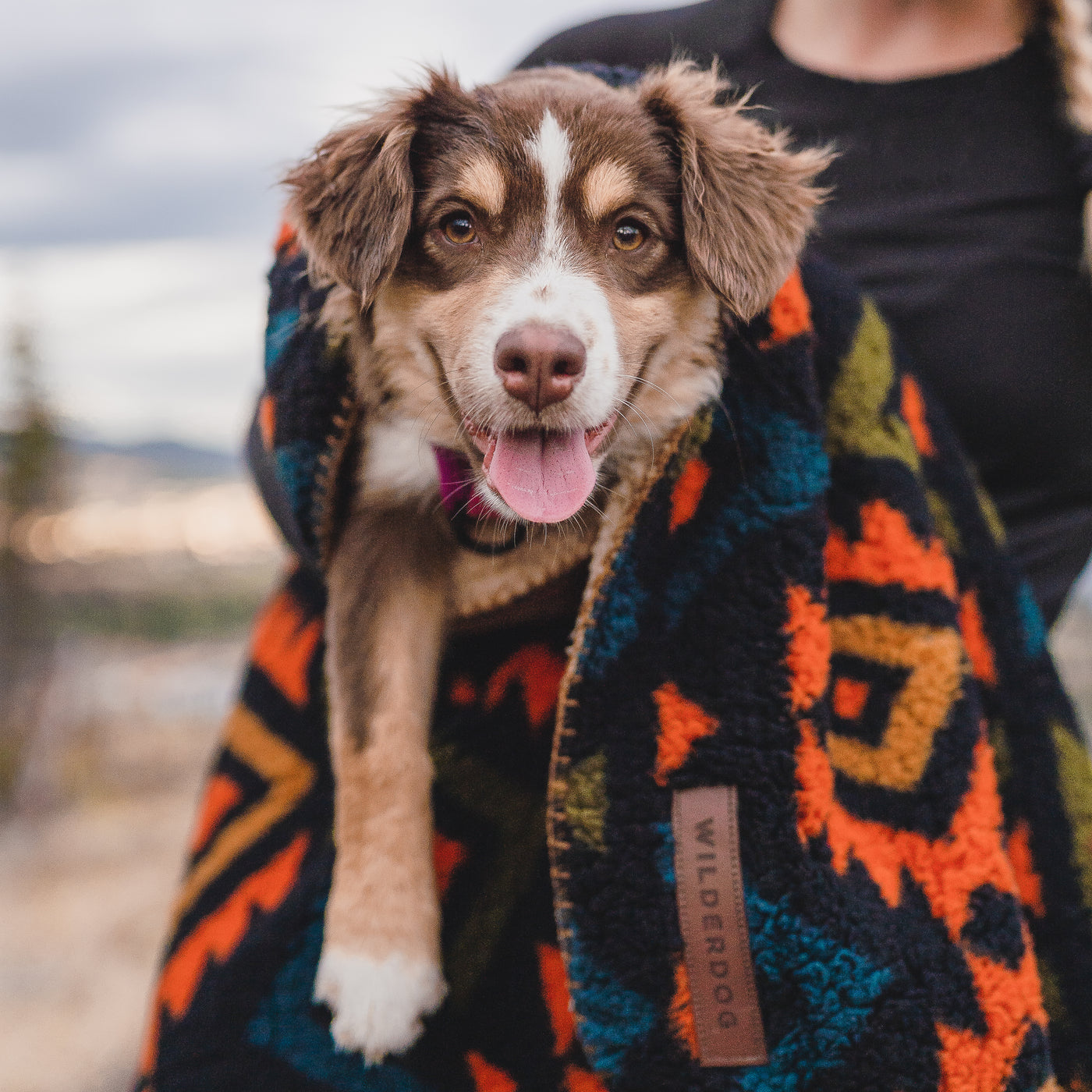 Sherpa Fleece Waterproof Blanket