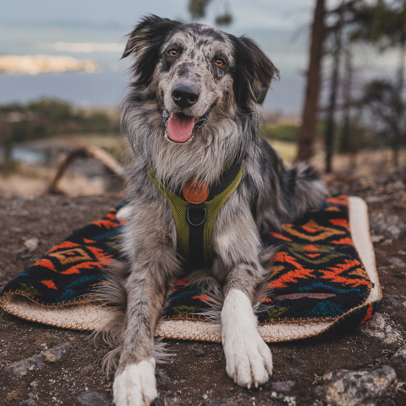 Sherpa Fleece Waterproof Blanket