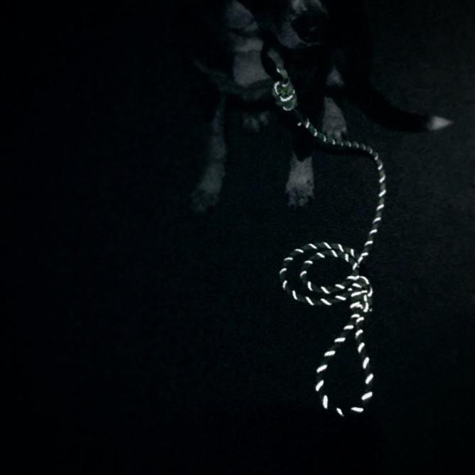 Alpine Reflective Small Carabiner Leash