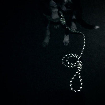 Pacific Blue Reflective Leash