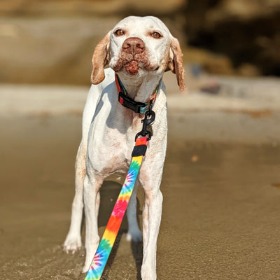 Tie Dye Waterproof Leash