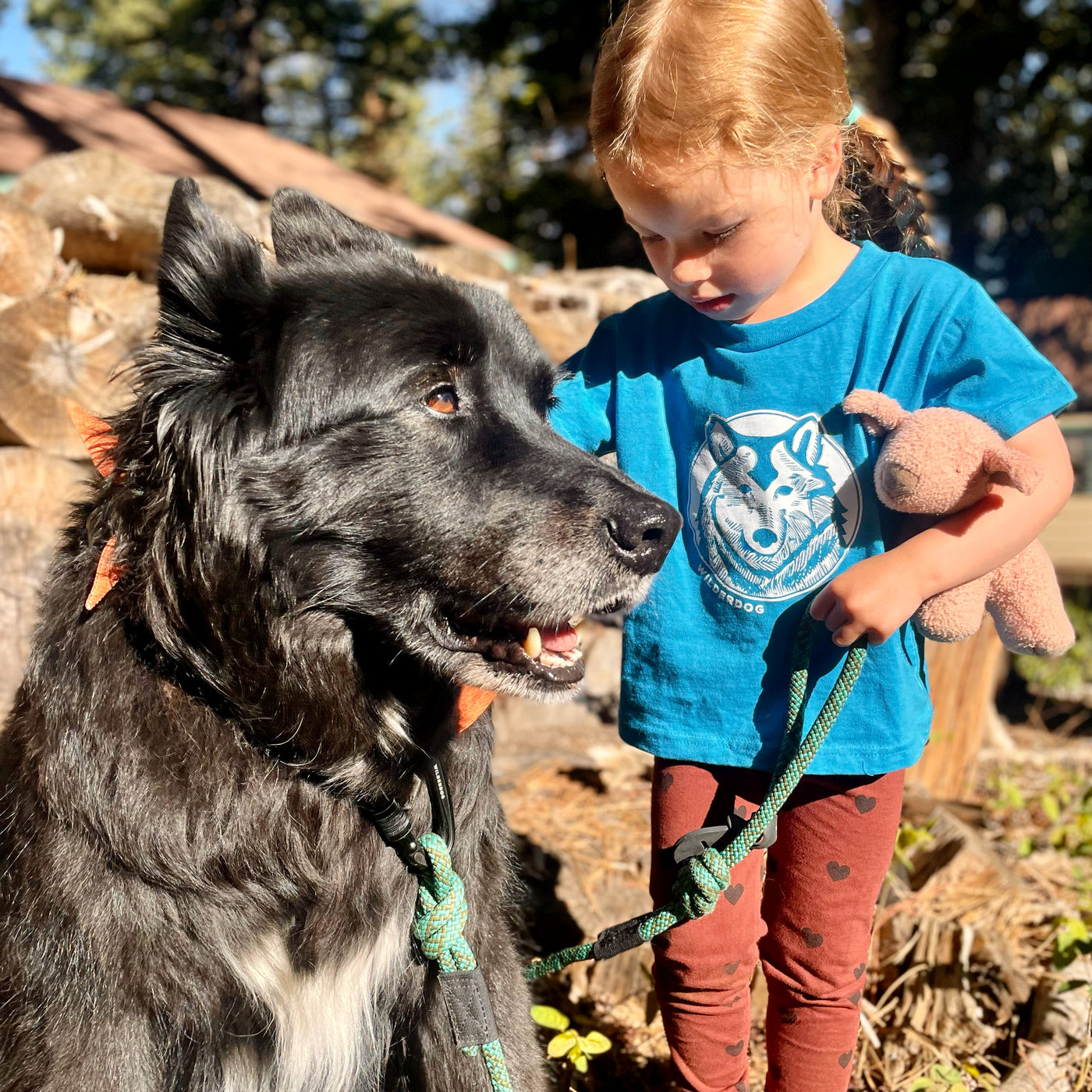 Toddler Tee Shirt