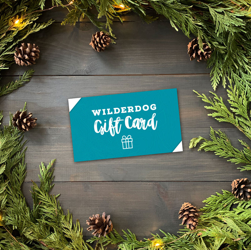 A "Gift Card" is placed on a dark wooden surface, surrounded by green fir branches and pinecones. Small fairy lights are interspersed among the branches, creating a festive, holiday-themed setting. Redeem at checkout and enjoy no processing fees for the perfect holiday gift.